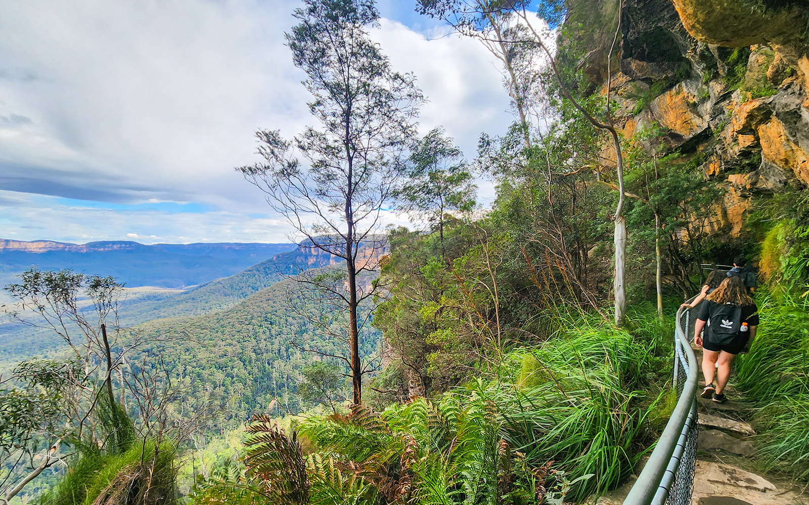 Ruined Castle Track, Blue Mountains