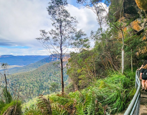 Ruined Castle Track, Blue Mountains