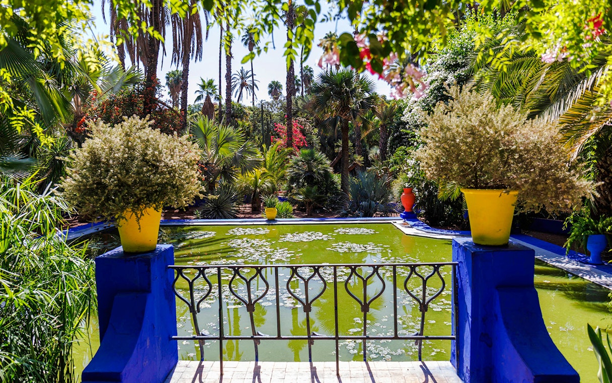 Jardin Majorelle pond with lush greenery and vibrant potted plants.