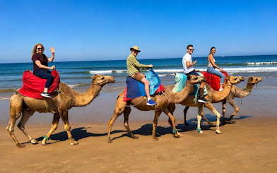 Tourists riding camels along Tangier beach with ocean in the background.