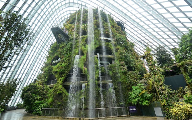 Gardens by the Bay indoor waterfall and lush greenery in Singapore.