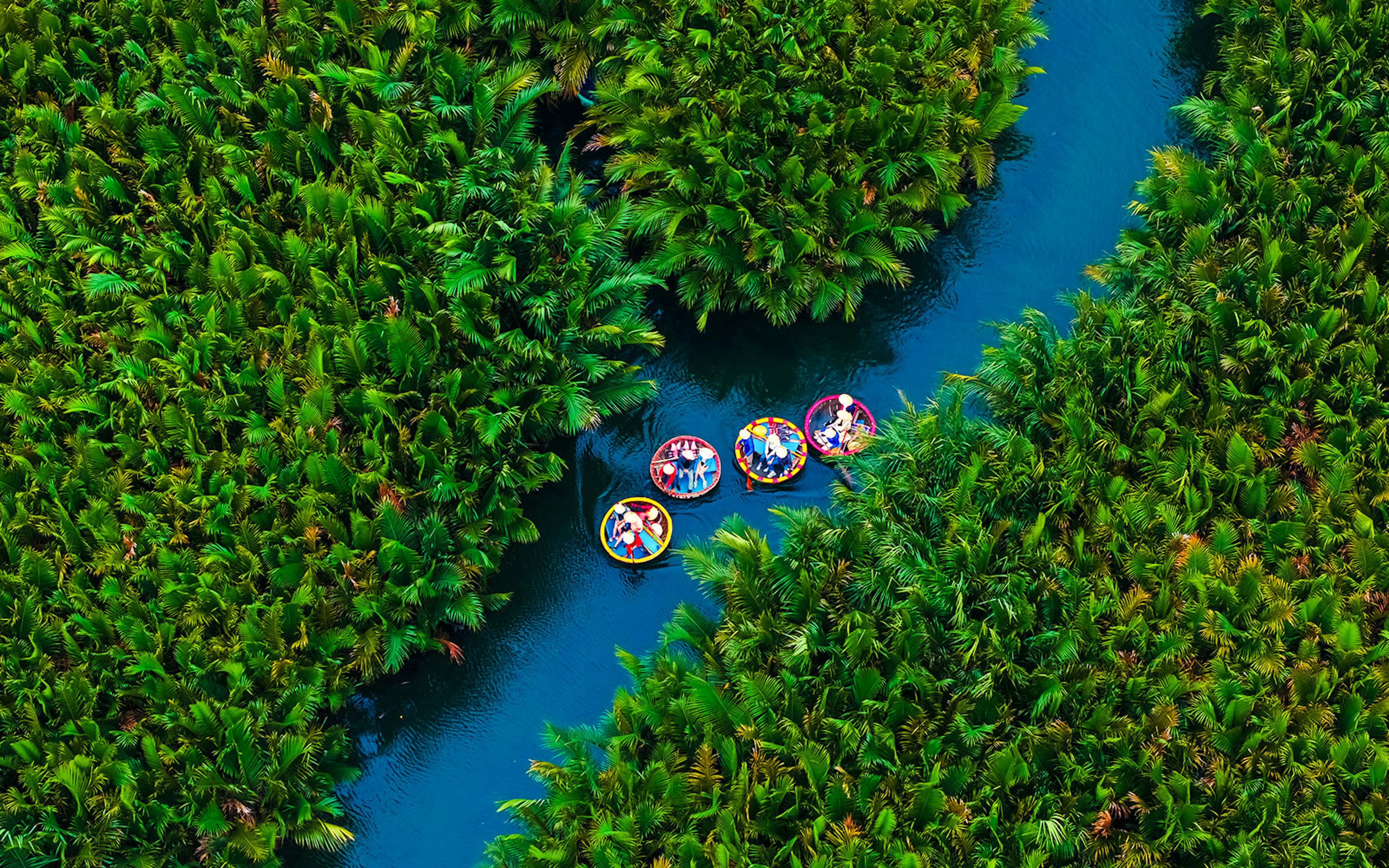 Aerial view of basket boats on a river surrounded by lush greenery in Hoi An, Vietnam.