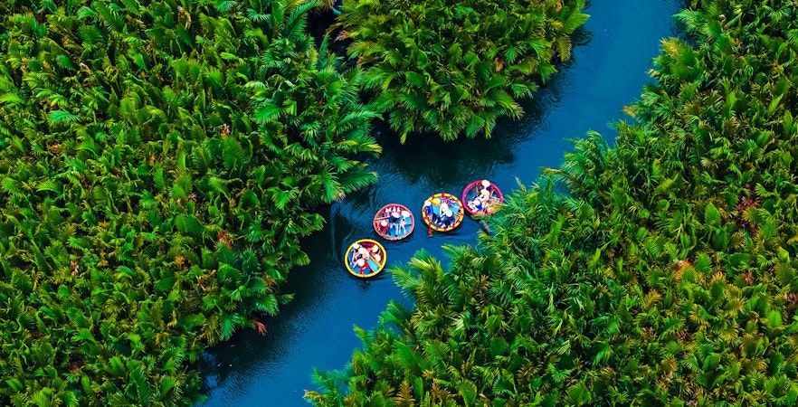 Aerial view of basket boats on a river surrounded by lush greenery in Hoi An, Vietnam.
