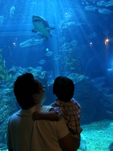Father and child observing sharks and fish at SeaLife Bangkok aquarium.