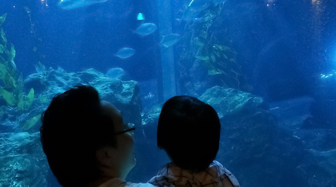 Father and child observing sharks and fish at SeaLife Bangkok aquarium.