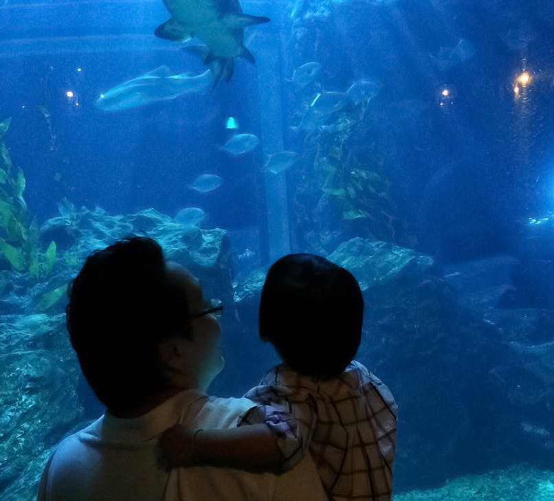 Visitors observing marine life at SeaLife Bangkok Ocean World.