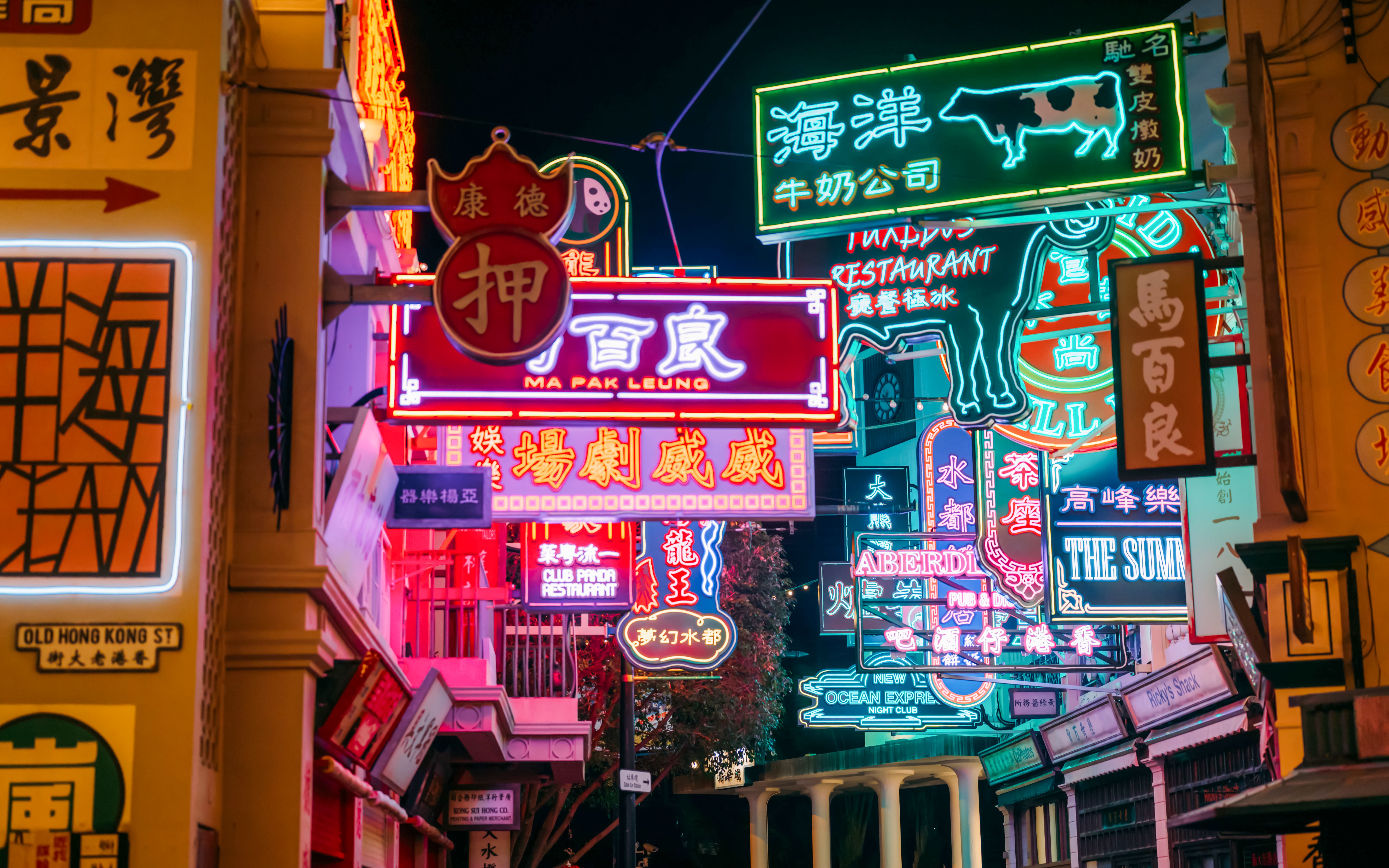 Neon signs illuminate a street at Ocean Park, Hong Kong.