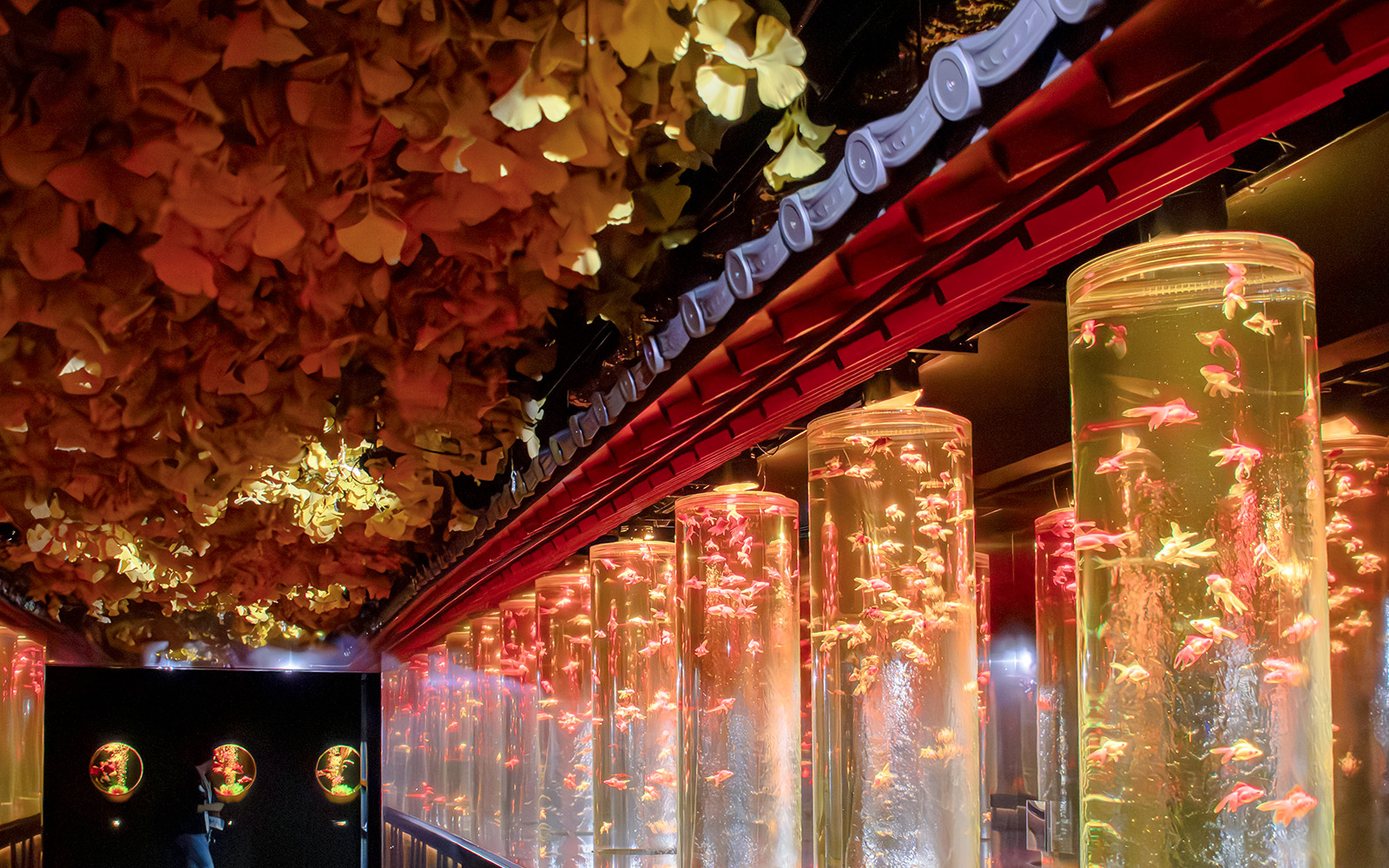 Goldfish in illuminated tanks at Ginza Art Aquarium, Tokyo.