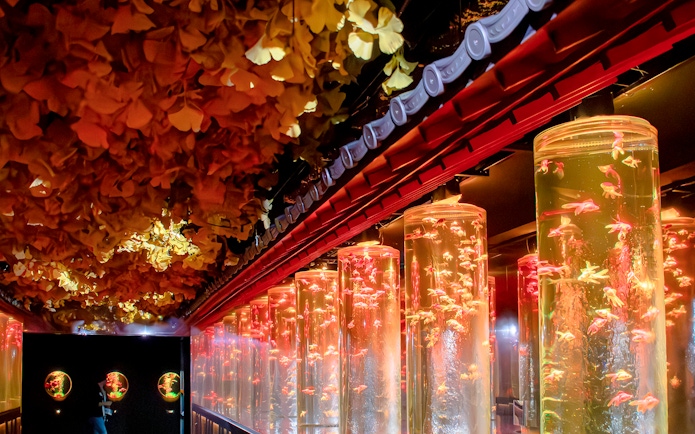 Goldfish in illuminated tanks at Ginza Art Aquarium, Tokyo.