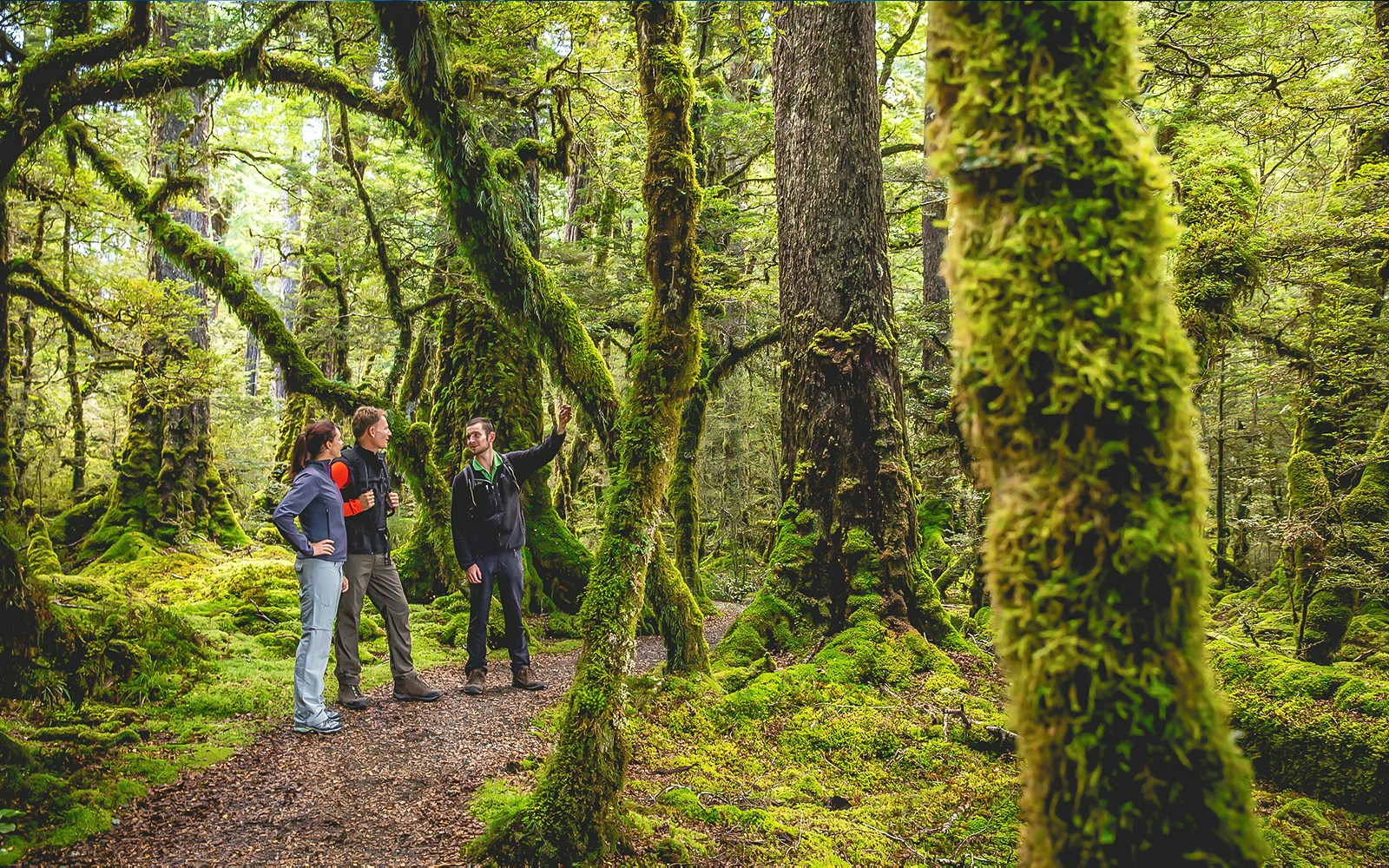 tourists on wilderness hikes in Milford Sound