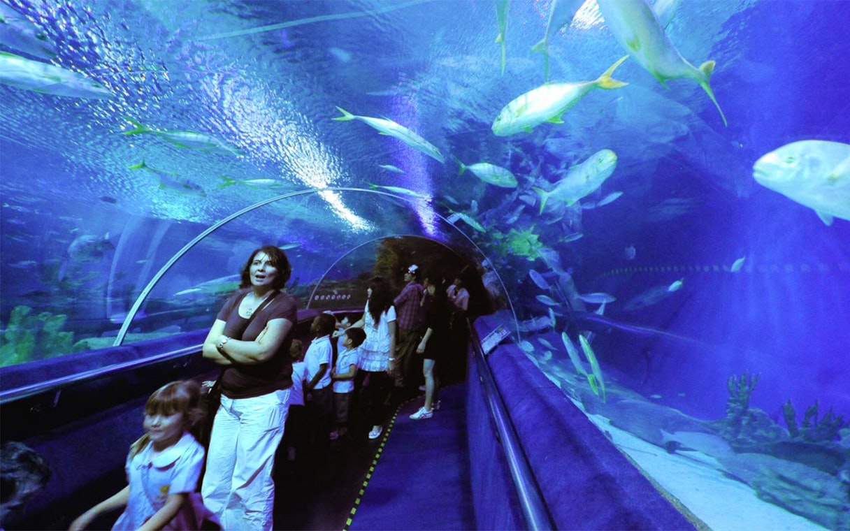 Visitors walking through underwater tunnel at Aquaria KLCC, surrounded by marine life.