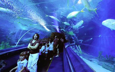 Visitors walking through underwater tunnel at Aquaria KLCC, surrounded by marine life.