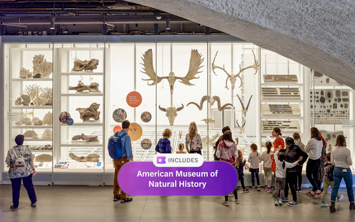 Visitors viewing animal skeletons and fossils at the American Museum of Natural History exhibit.