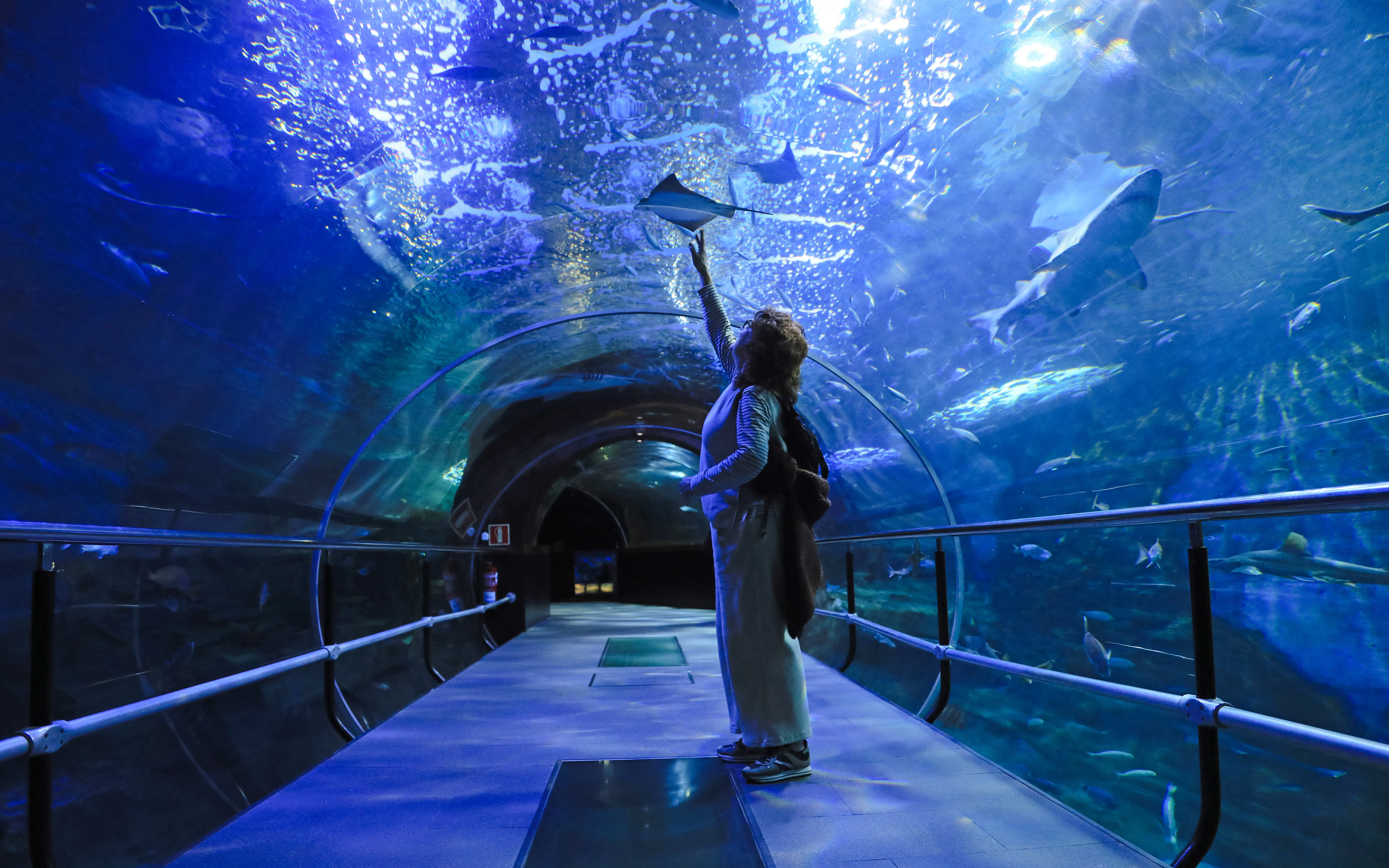 Aquarium - Monte Urgull