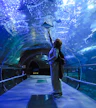 Aquarium - Monte Urgull