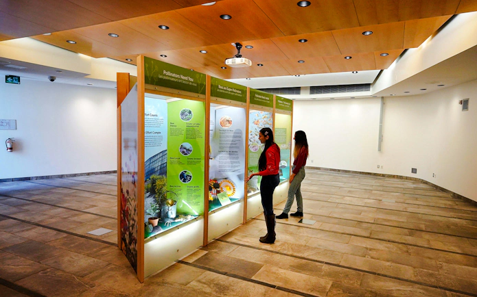 Visitors reading educational displays at the Butterfly Conservatory, Niagara Falls, Canada.