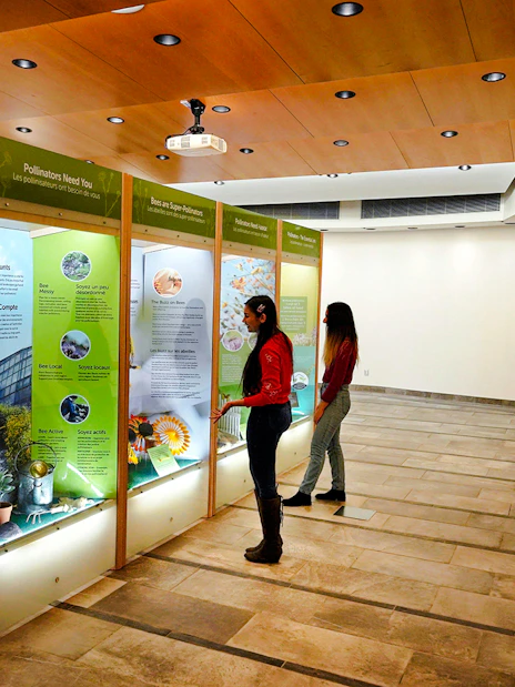 Visitors reading educational displays at the Butterfly Conservatory, Niagara Falls, Canada.