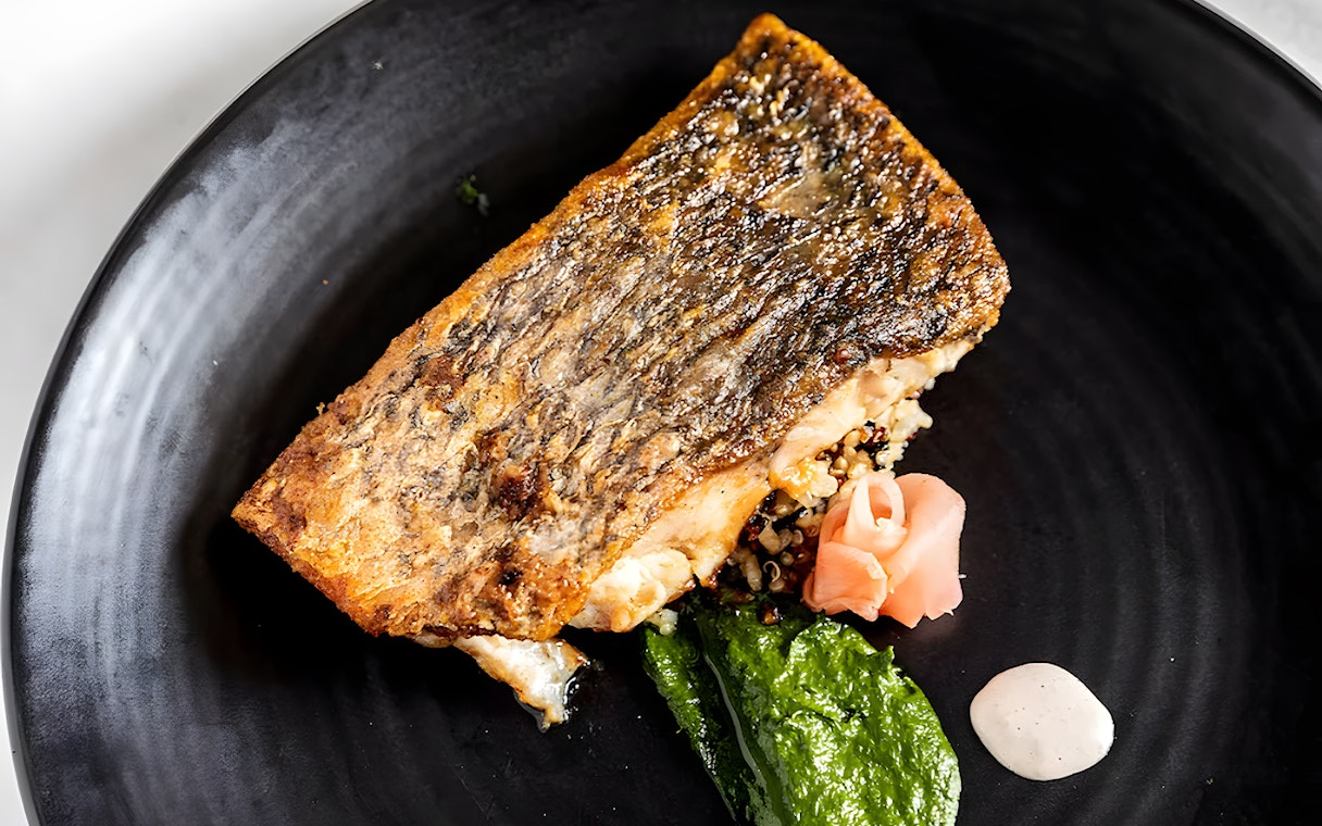 Grilled fish with quinoa, spinach puree, and pickled ginger on a black plate, Starlight Dinner Cruise Sydney.