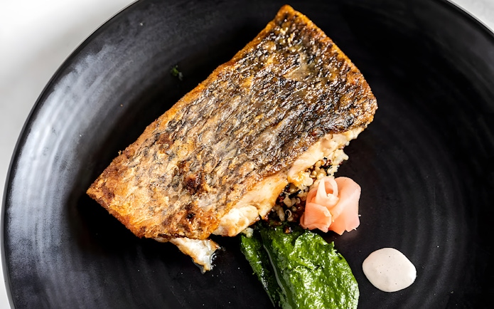 Grilled fish with quinoa, spinach puree, and pickled ginger on a black plate, Starlight Dinner Cruise Sydney.