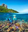 Zone récifale de l'île de Mantaray