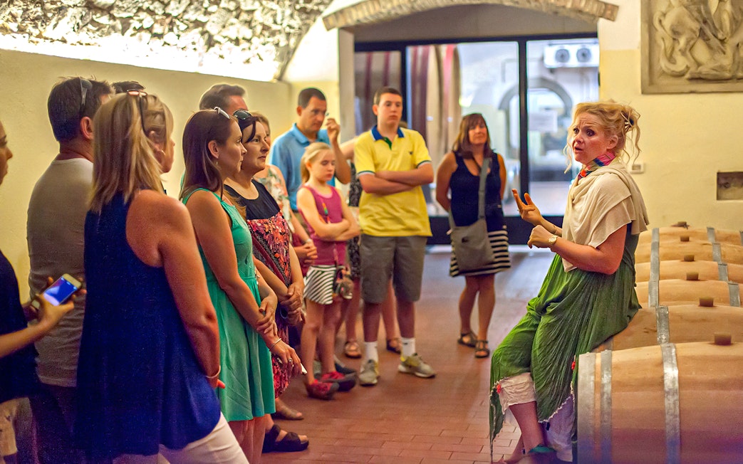 Group listening to a guide in a Chianti wine cellar during a wine and olive oil tour.