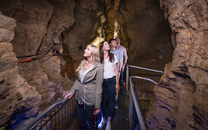Visitors exploring Ruakuri Cave on a guided tour, New Zealand.