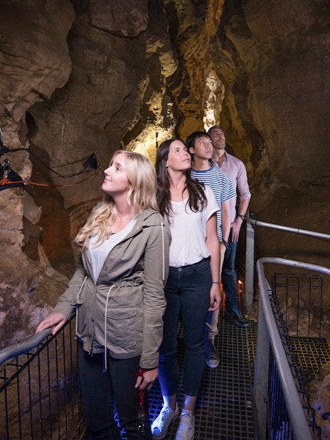 Visitors exploring Ruakuri Cave on a guided tour, New Zealand.