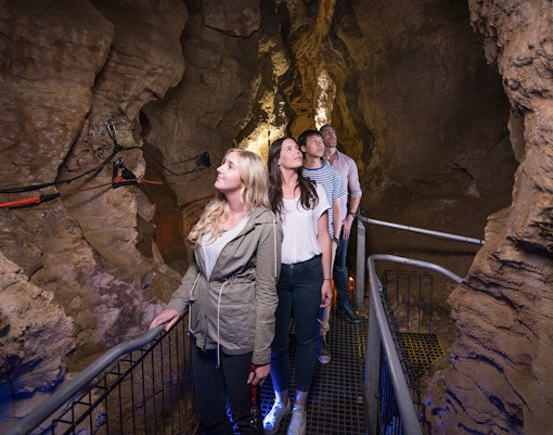 Visitors exploring Ruakuri Cave on a guided tour, New Zealand.