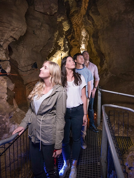Visitors exploring Ruakuri Cave on a guided tour, New Zealand.
