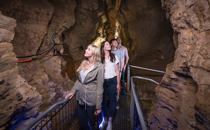 Visitors exploring Ruakuri Cave on a guided tour, New Zealand.