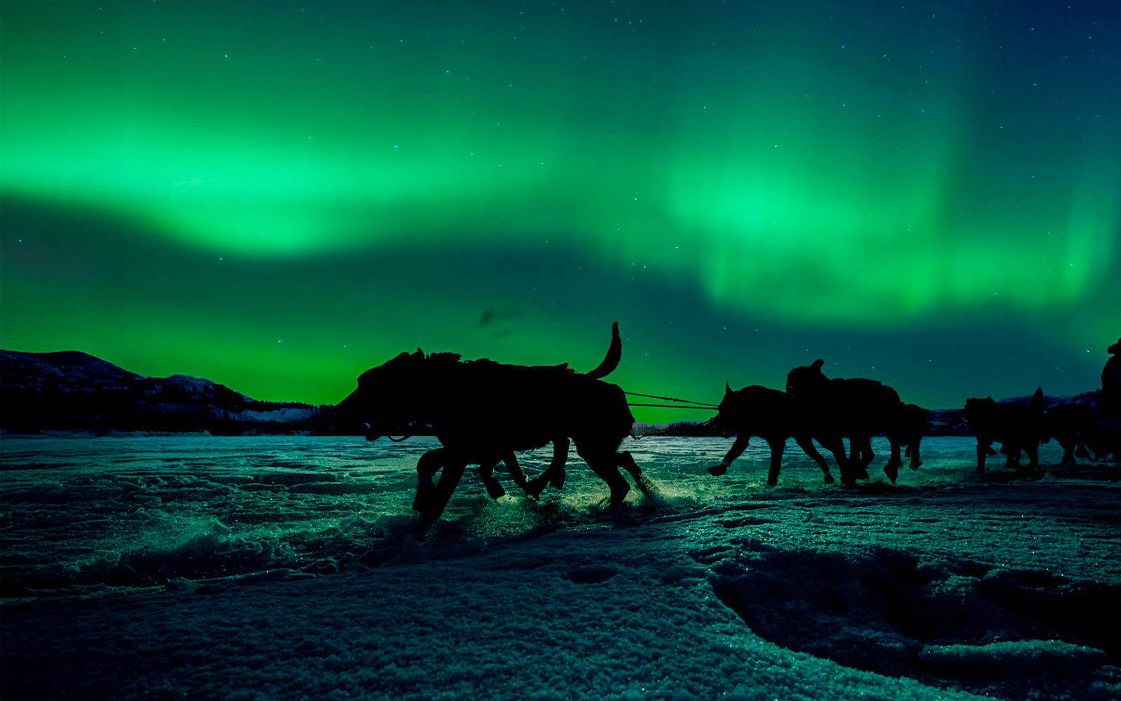Husky sleigh ride under Northern Lights in Rovaniemi, Finland.