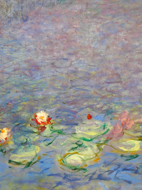 Water lilies on a pond in Claude Monet's painting.