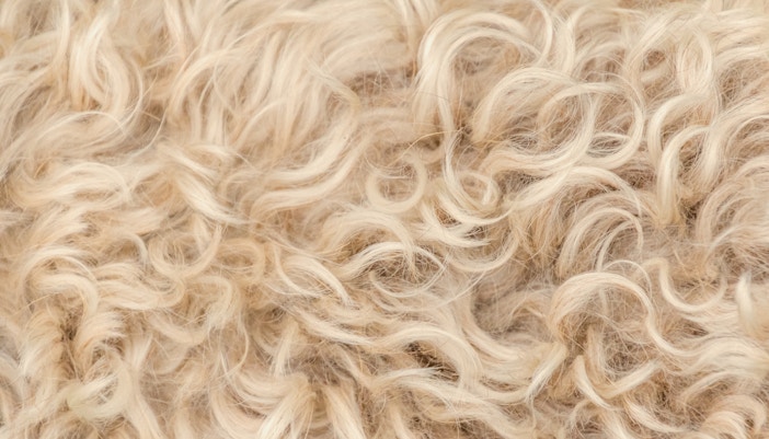 Auschwitz Room of Hair