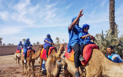 Camel ride with professional guide in Palmeraie, Marrakech, with hotel transfers.