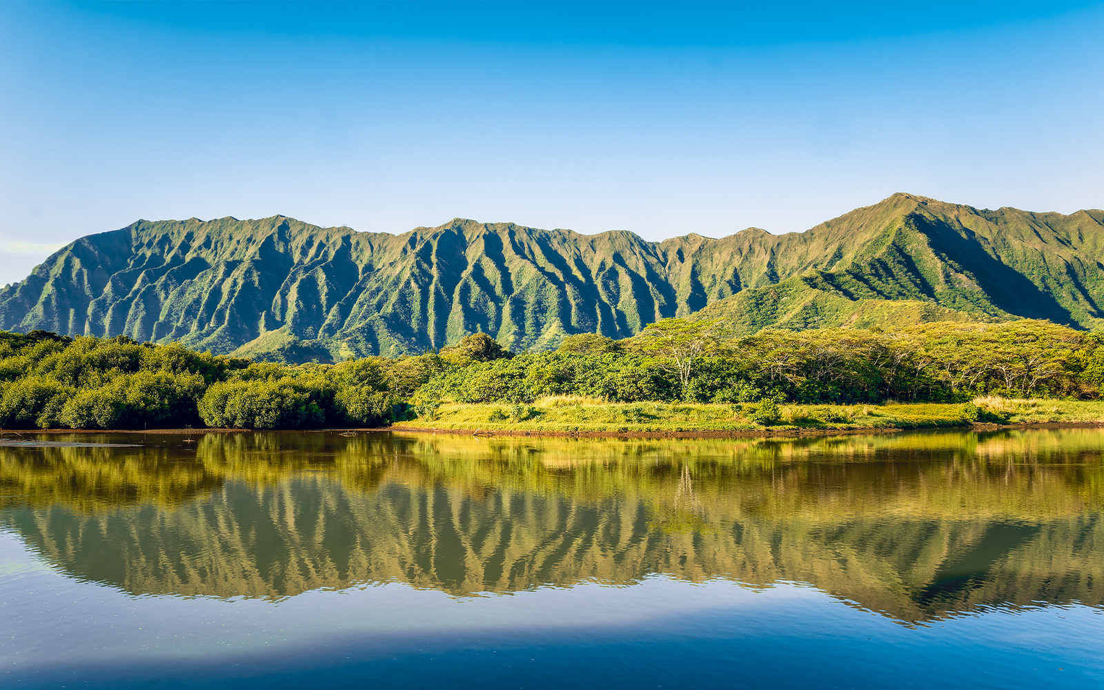 view of Koʻolau Volcano