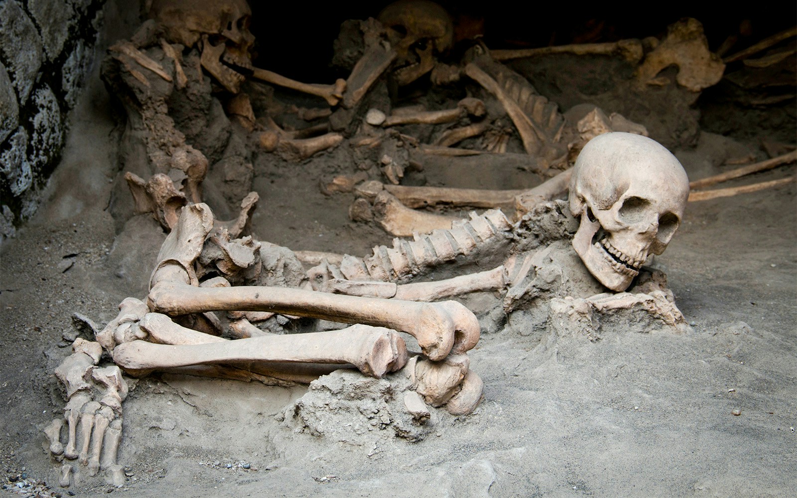 unearthed human skeletons
