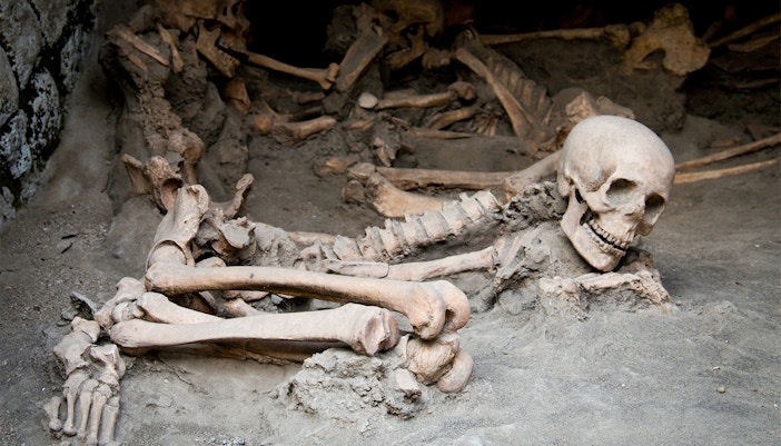 bodies