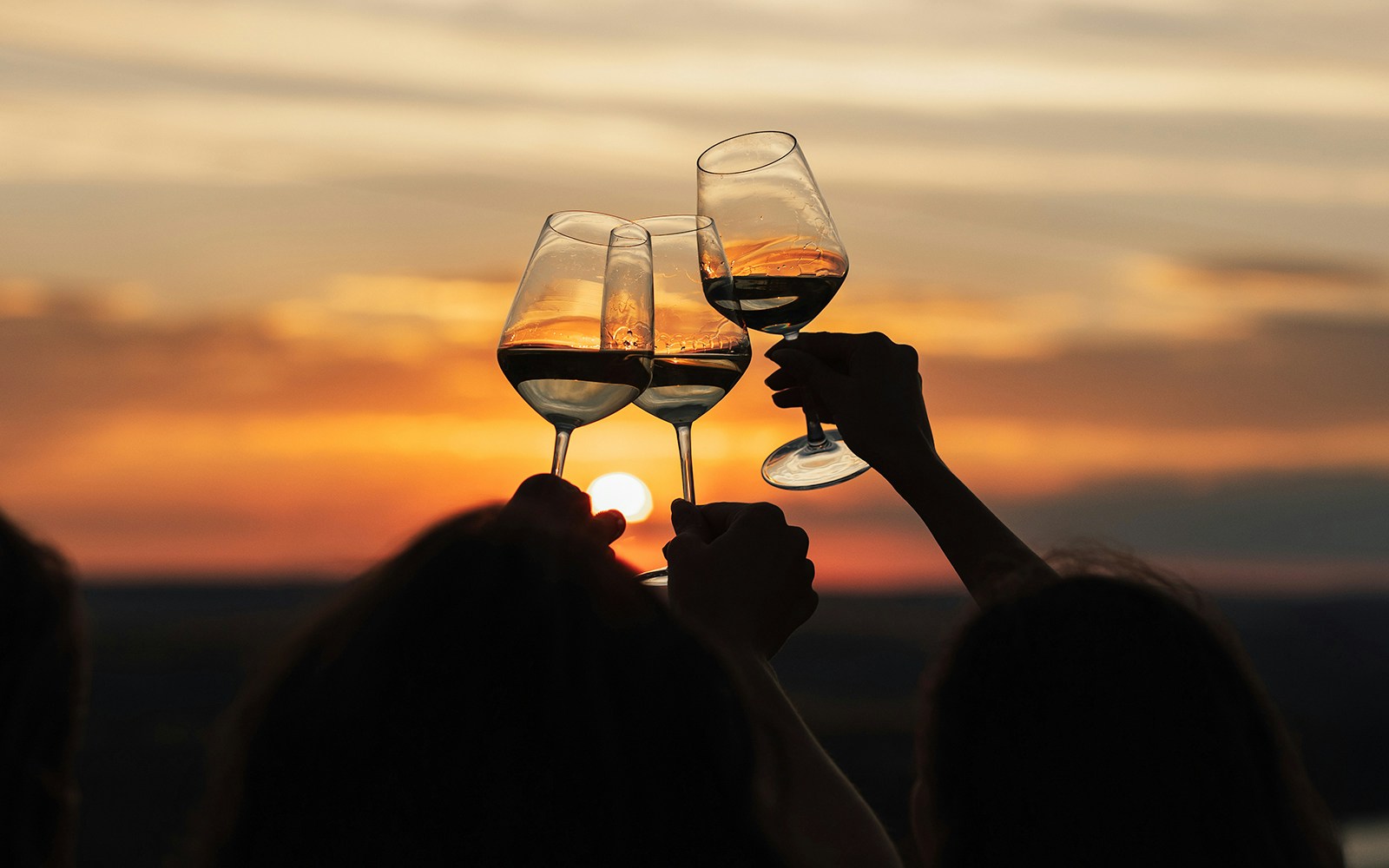 Group of friends with white wine in hands clinking with glasses