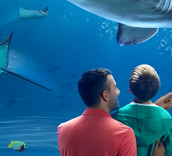 Visitors observing a shark at SEA LIFE Kelly Tarlton's Aquarium, Auckland.