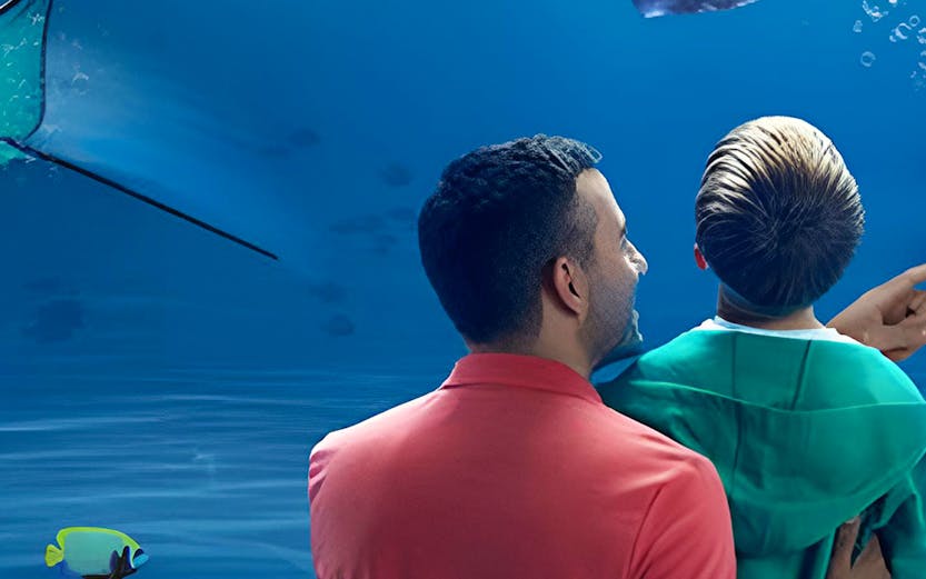 Visitors observing a shark at SEA LIFE Kelly Tarlton's Aquarium, Auckland.