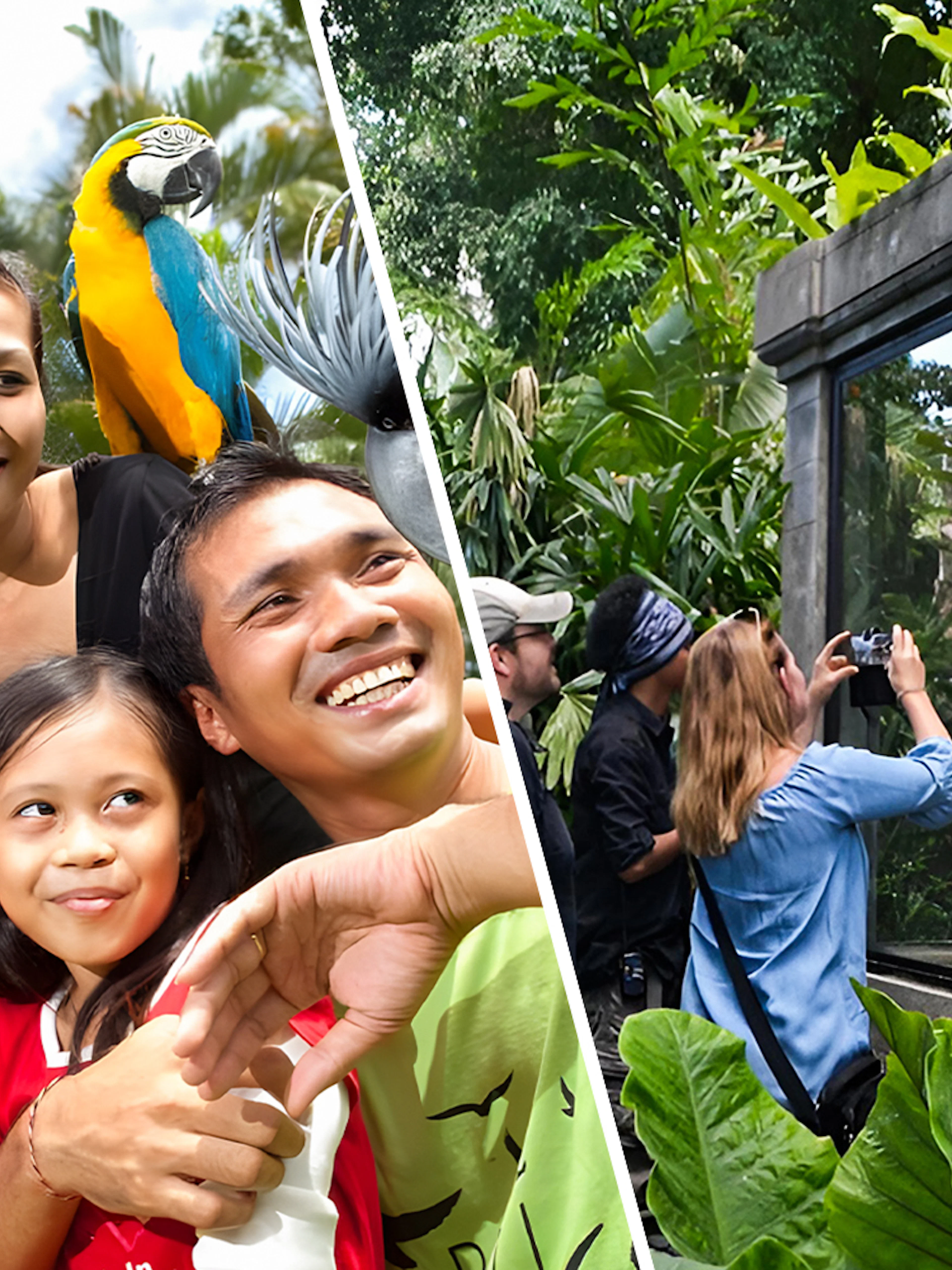Family enjoying colorful parrots at Bali Bird Park and visitors photographing reptiles at Bali Reptile Park.