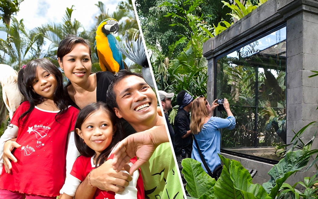 Family enjoying colorful parrots at Bali Bird Park and visitors photographing reptiles at Bali Reptile Park.