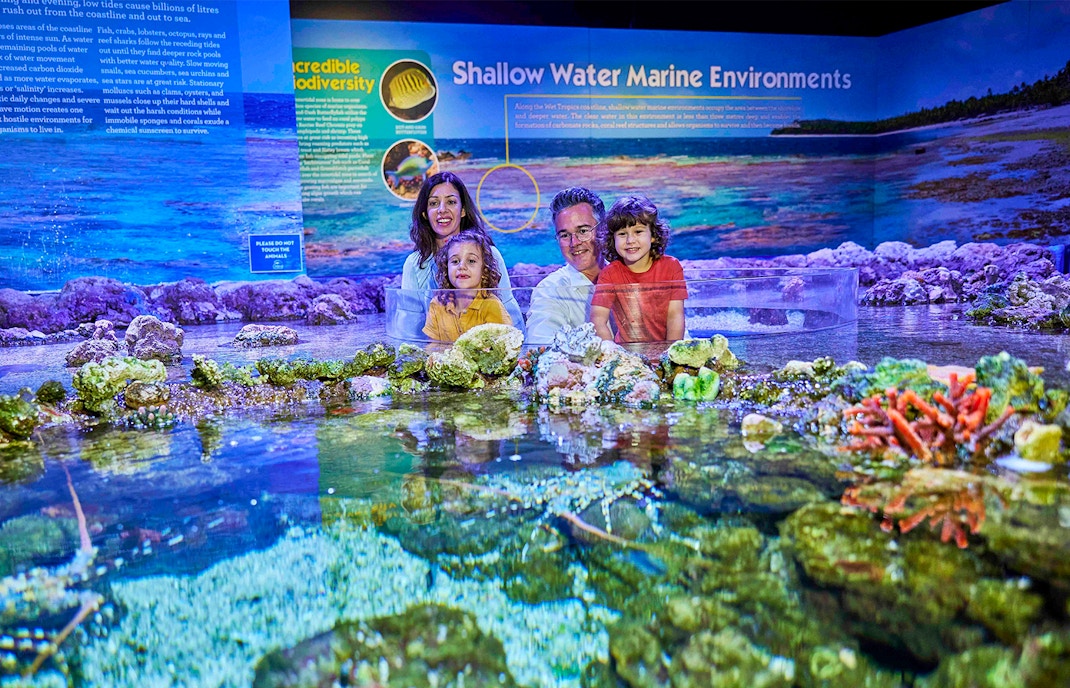 Family exploring coral exhibit at Cairns Aquarium's Living Coral Biobank Tour.