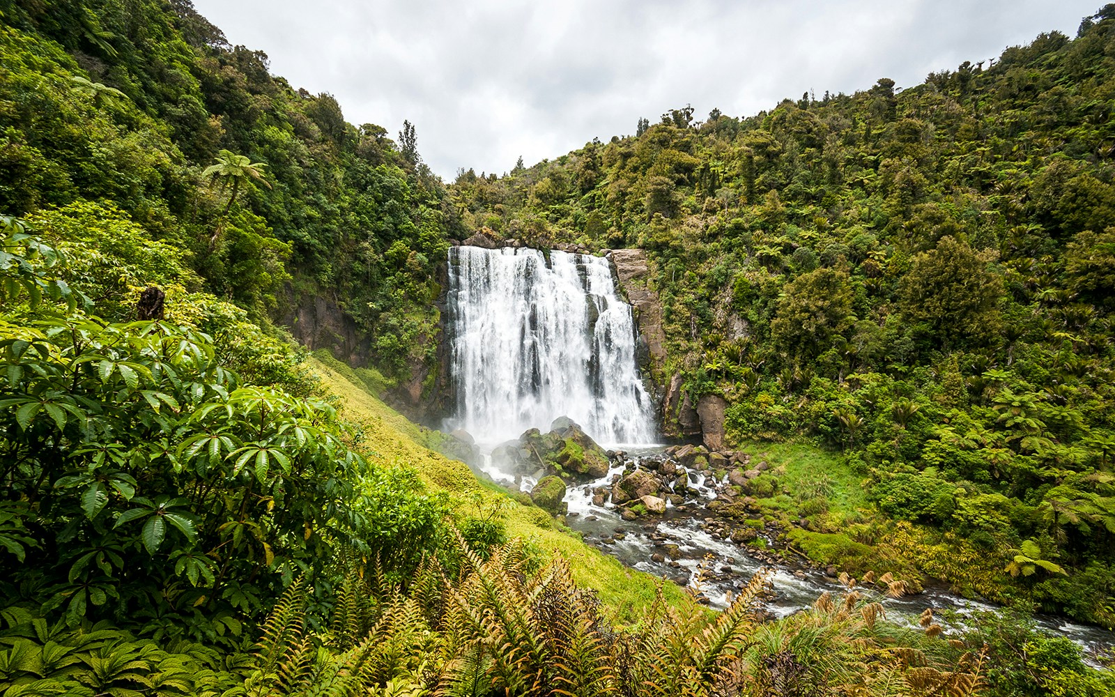 Marokopa Falls cascading amidst lush greenery in Waitomo, New Zealand.