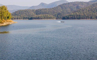 From Chiang Mai: Bua Thong Sticky Waterfalls and Mae Ngat Dam Boat Tour
