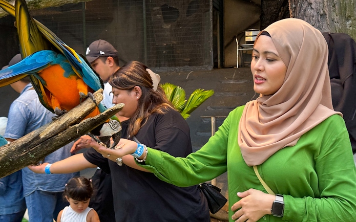 Feeding a colorful parrot at 99 Wonderland Park.