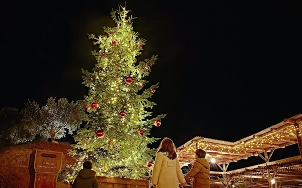 Puy Du Fou España Christmas 1-Day Tickets