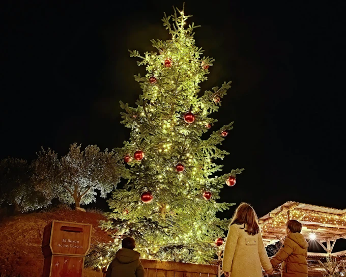 Puy Du Fou España Christmas 1-Day Tickets