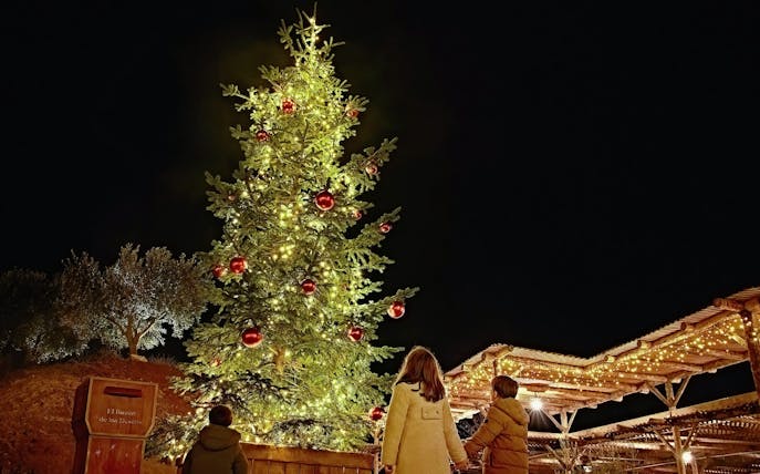Christmas tree with lights and red ornaments at Puy du Fou España, children looking up.