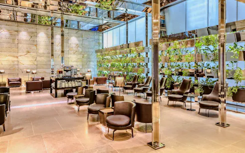Al Maha Lounge seating area with plants at Doha Hamad International Airport.
